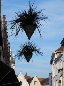 Schwebende Pflanzen, Brugge